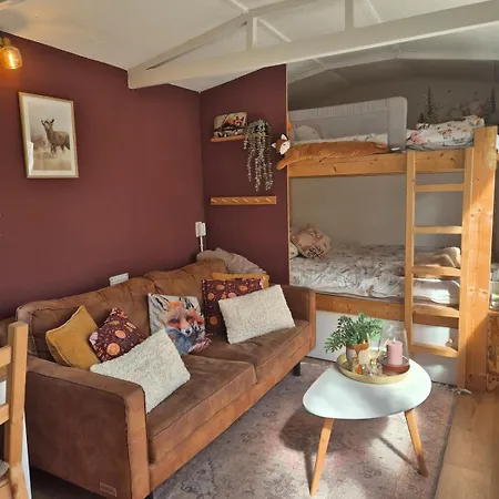 Feriehus Tiny House On The Veluwe The Outdoor Life Oene
