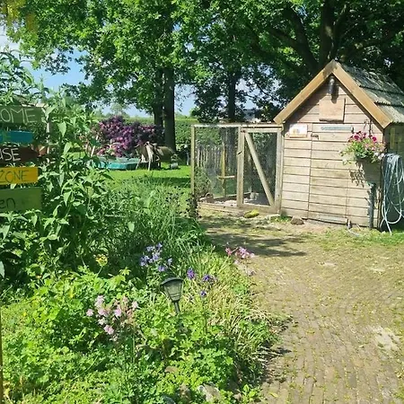 Tiny House On The Veluwe The Outdoor Life Feriehus Oene