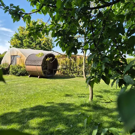 Feriehus Tiny House On The Veluwe The Outdoor Life