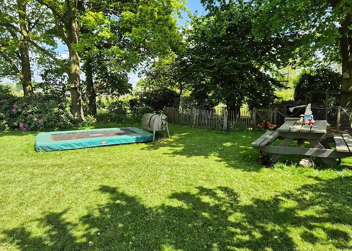 Tiny House On The Veluwe The Outdoor Life
