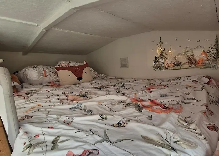 Tiny House On The Veluwe The Outdoor Life *