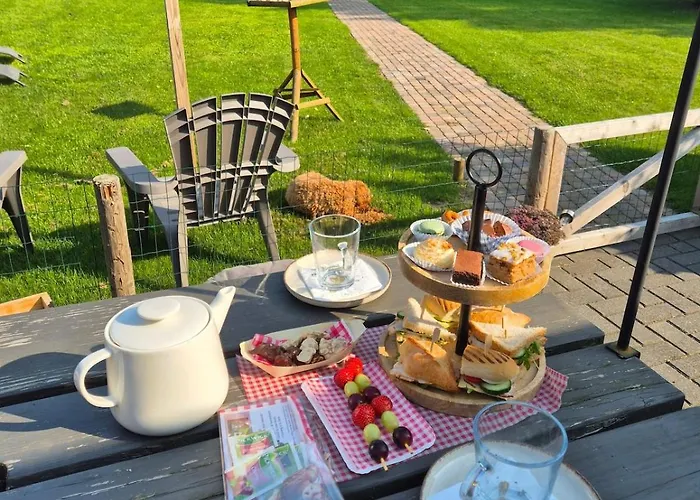 Tiny House On The Veluwe The Outdoor Life *