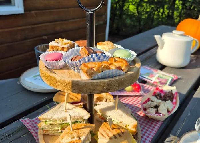 Tiny House On The Veluwe The Outdoor Life Oene