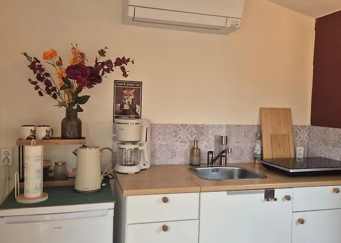 Tiny House On The Veluwe The Outdoor Life בית נופש *