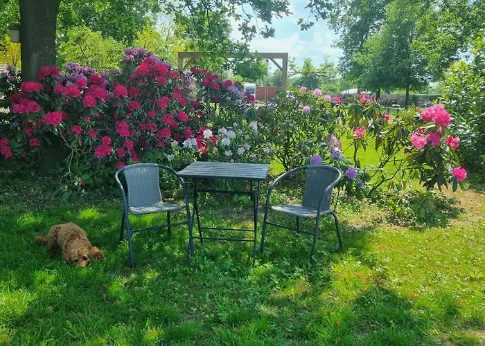 Tiny House On The Veluwe The Outdoor Life Oene