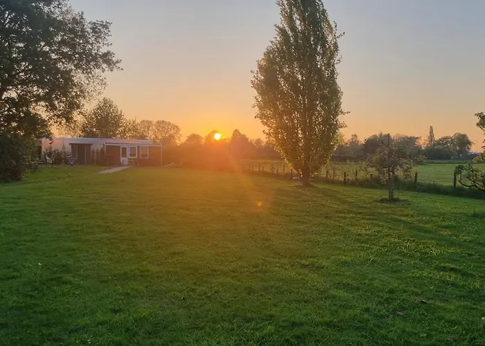 Tiny House On The Veluwe The Outdoor Life בית נופש