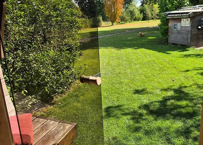 Tiny House On The Veluwe The Outdoor Life * Oene